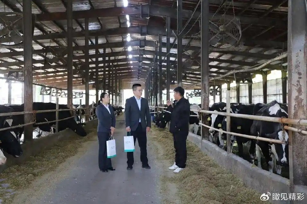 农行临沂分行:政银担协同发力,为畜牧养殖注入金融活水