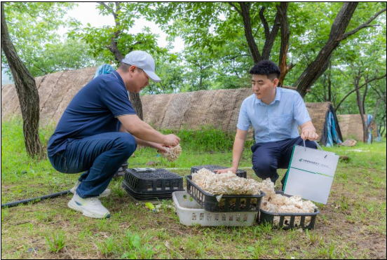 中国人民银行北京市分行《金融服务北京实体经济发展专栏》第25期