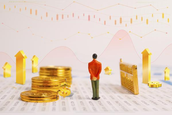 临沂做车贷款的金融公司，临沂车贷骗局