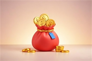 临沂个人贷款贴吧？